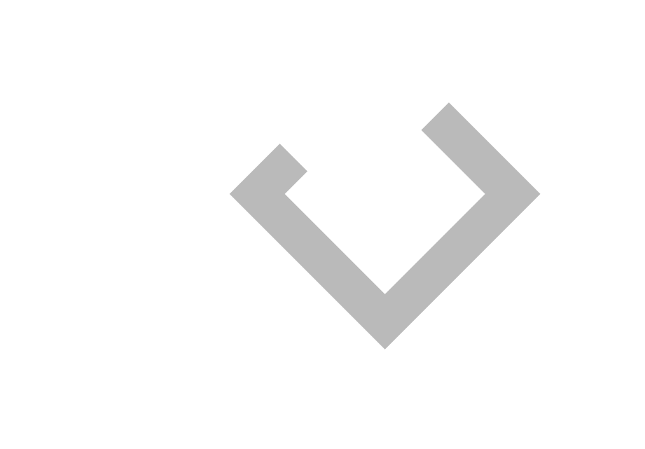 Gray Logo - Transparent Background
