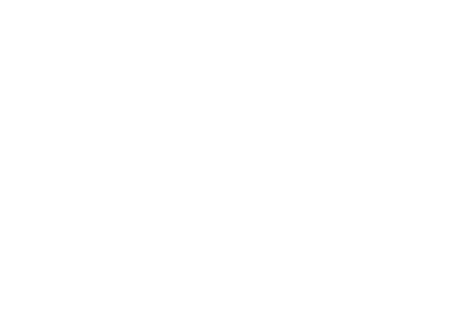 White Logo - Transparent Background